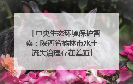 中央生态环境保护督察：陕西省榆林市水土流失治理存在差距