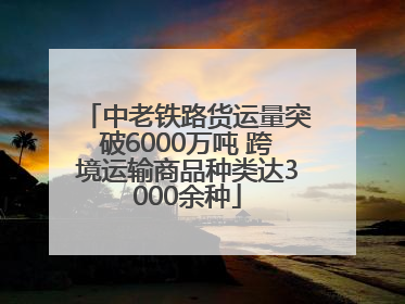 中老铁路货运量突破6000万吨 跨境运输商品种类达3000余种