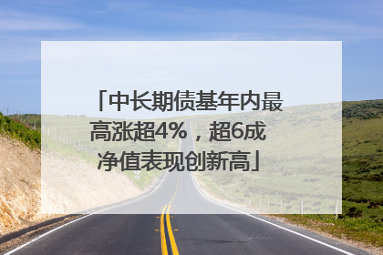 中长期债基年内最高涨超4%，超6成净值表现创新高