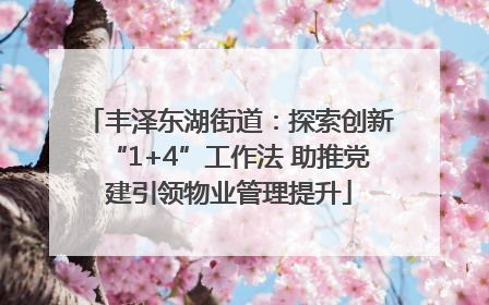 丰泽东湖街道：探索创新“1+4”工作法 助推党建引领物业管理提升