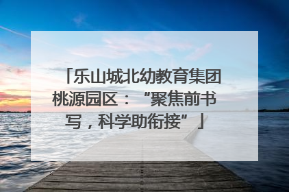 乐山城北幼教育集团桃源园区：“聚焦前书写，科学助衔接”