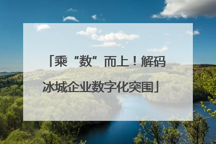 乘“数”而上！解码冰城企业数字化突围