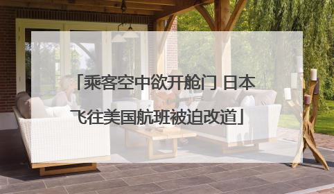 乘客空中欲开舱门 日本飞往美国航班被迫改道