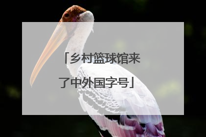 乡村篮球馆来了中外国字号