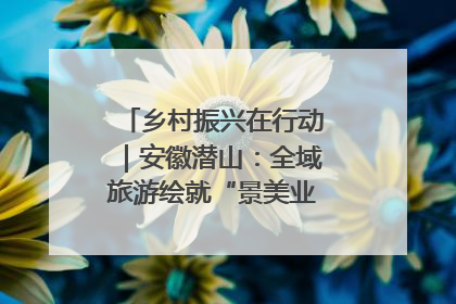 乡村振兴在行动｜安徽潜山：全域旅游绘就“景美业兴民富”新画卷