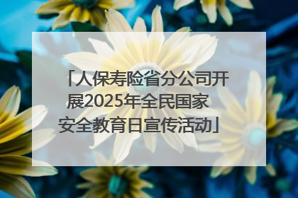 人保寿险省分公司开展2025年全民国家安全教育日宣传活动