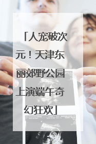 人宠破次元！天津东丽郊野公园上演端午奇幻狂欢