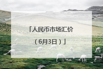 人民币市场汇价（6月3日）