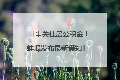 事关住房公积金！蚌埠发布最新通知