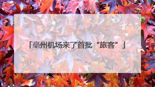 亳州机场来了首批“旅客”