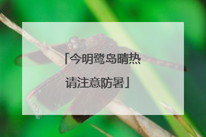 今明鹭岛晴热 请注意防暑