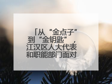 从“金点子”到“金钥匙”，江汉区人大代表和职能部门面对面解企业难题