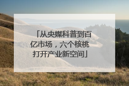 从央媒科普到百亿市场，六个核桃打开产业新空间
