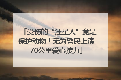 受伤的“汪星人”竟是保护动物！无为警民上演70公里爱心接力