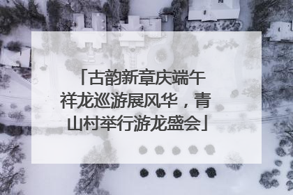 古韵新章庆端午 祥龙巡游展风华，青山村举行游龙盛会