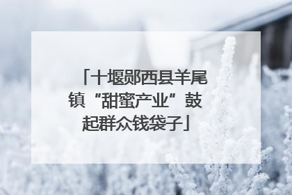 十堰郧西县羊尾镇“甜蜜产业”鼓起群众钱袋子