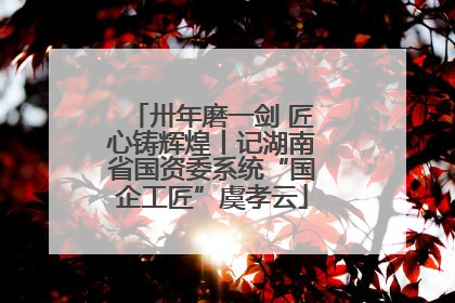 卅年磨一剑 匠心铸辉煌丨记湖南省国资委系统“国企工匠”虞孝云