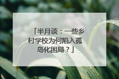 半月谈：一些乡村学校为何陷入孤岛化困局？