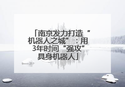 南京发力打造“机器人之城”：用3年时间“强攻”具身机器人