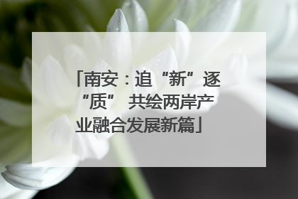 南安：追“新”逐“质” 共绘两岸产业融合发展新篇