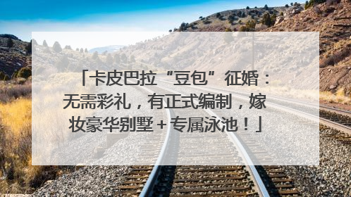 卡皮巴拉“豆包”征婚：无需彩礼，有正式编制，嫁妆豪华别墅＋专属泳池！