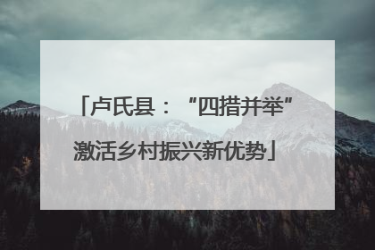 卢氏县：“四措并举”激活乡村振兴新优势