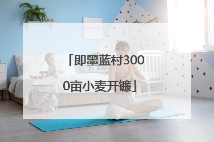 即墨蓝村3000亩小麦开镰