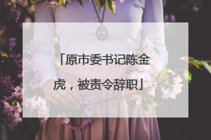 原市委书记陈金虎，被责令辞职