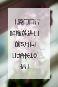厦门口岸鲜榴莲进口 前5月同比增长10倍