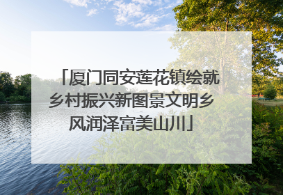 厦门同安莲花镇绘就乡村振兴新图景文明乡风润泽富美山川