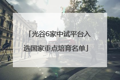 光谷6家中试平台入选国家重点培育名单