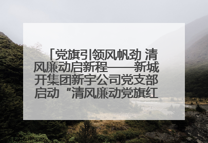 党旗引领风帆劲 清风廉动启新程——新城开集团新宇公司党支部启动“清风廉动党旗红”系列活动