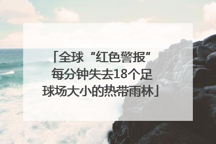 全球“红色警报”  每分钟失去18个足球场大小的热带雨林