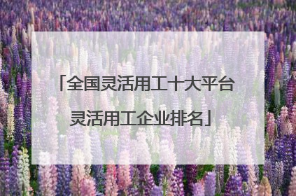 全国灵活用工十大平台 灵活用工企业排名