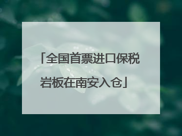 全国首票进口保税岩板在南安入仓
