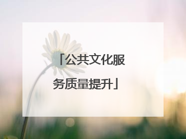 公共文化服务质量提升