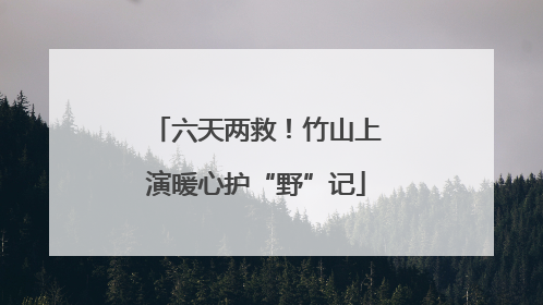 六天两救！竹山上演暖心护“野”记