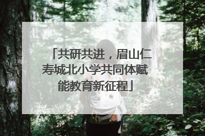 共研共进，眉山仁寿城北小学共同体赋能教育新征程