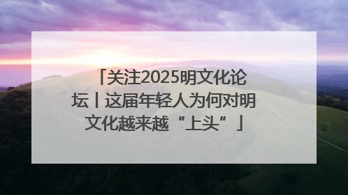 关注2025明文化论坛丨这届年轻人为何对明文化越来越“上头”