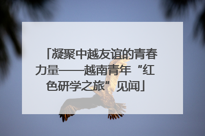 凝聚中越友谊的青春力量——越南青年“红色研学之旅”见闻