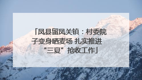 凤县留凤关镇：村委院子变身晒麦场 扎实推进“三夏”抢收工作
