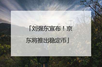 刘强东宣布！京东将推出稳定币