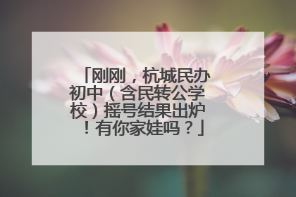 刚刚，杭城民办初中（含民转公学校）摇号结果出炉！有你家娃吗？