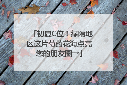 初夏C位！绿隔地区这片芍药花海点亮您的朋友圈→