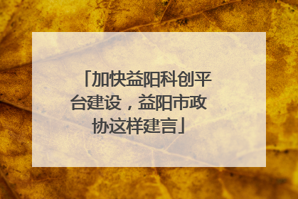 加快益阳科创平台建设，益阳市政协这样建言