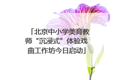 北京中小学美育教师“沉浸式”体验戏曲工作坊今日启动