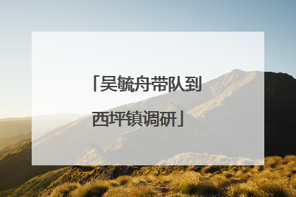 吴毓舟带队到西坪镇调研