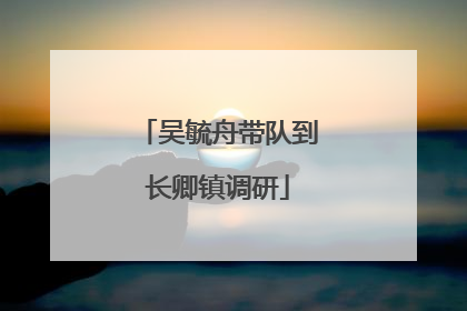 吴毓舟带队到长卿镇调研