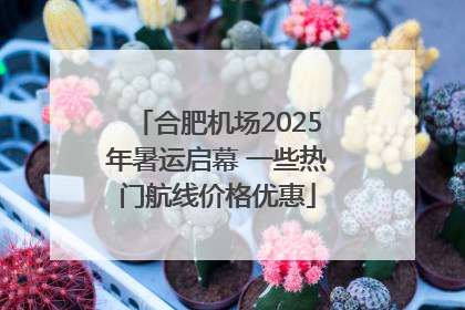 合肥机场2025年暑运启幕 一些热门航线价格优惠