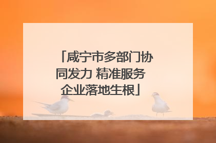 咸宁市多部门协同发力 精准服务企业落地生根